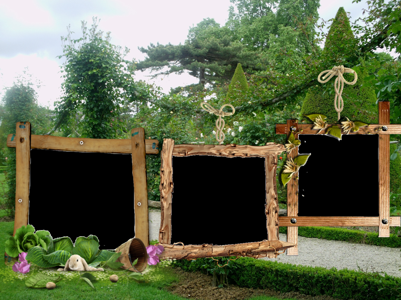 Montage hotels